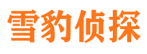 新城区市侦探调查公司